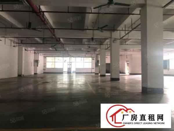  实图（花园式厂房可分租）厚街一楼3500平方现成装修办公室