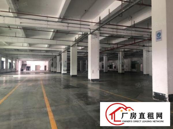  实图（花园式厂房可分租）厚街一楼3500平方现成装修办公室