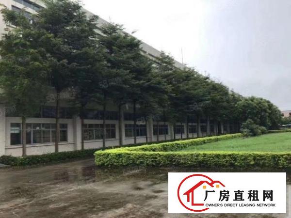  实图（广东省市范单位）厚街3.2万方花园式大型独院厂房。