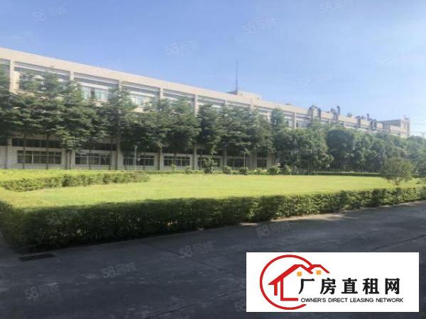 实图（广东省市范单位）厚街3.2万方花园式大型独院厂房。