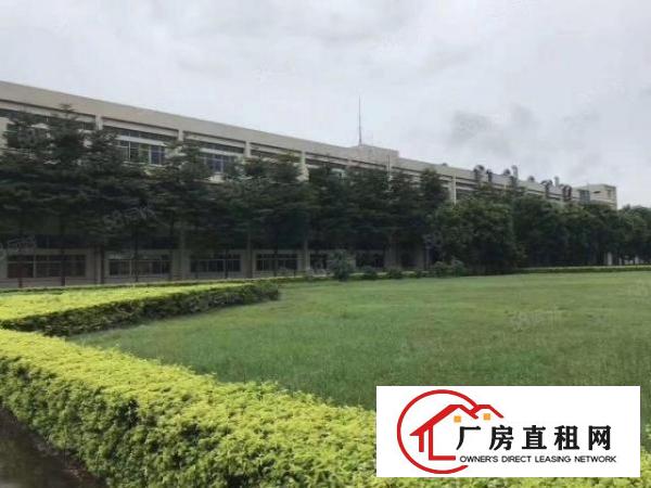  实图（广东省市范单位）厚街3.2万方花园式大型独院厂房。