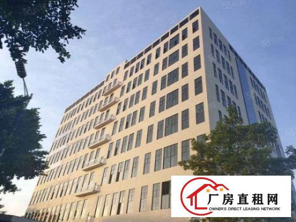  实图（全新工业4.0独院厂房）厚街楼上3300方层高6米。