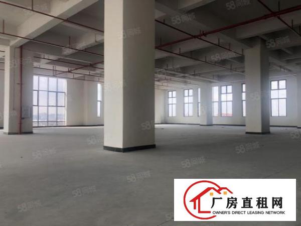  实图（全新工业4.0独院厂房）厚街楼上3300方层高6米。