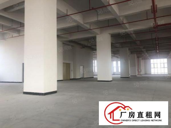  实图（全新工业4.0独院厂房）厚街楼上3300方层高6米。