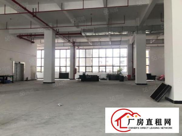  实图（全新写字楼式厂房）厚街楼上2500方适合制造办公等。