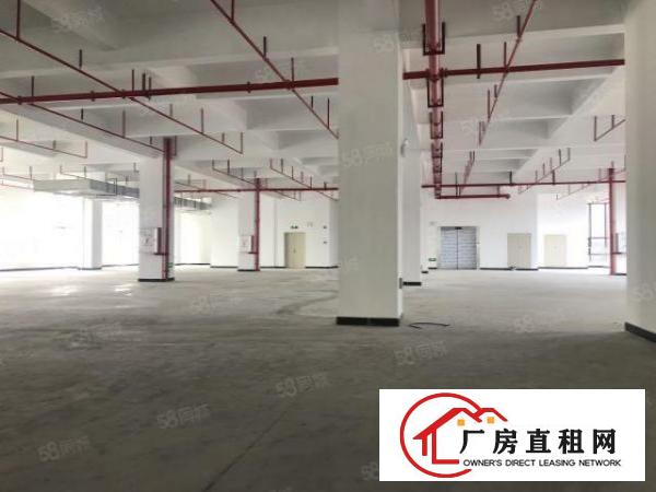  实图（全新写字楼式厂房）厚街楼上2500方适合制造办公等。
