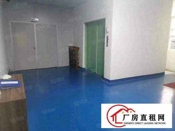  溪头工业园区新出楼上480平带现成办公室装修