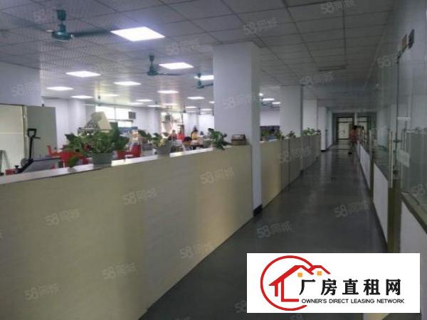  （实拍）空地大花园式厂房一楼3350平方带鞋材环评出租