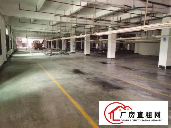  （实拍）空地大花园式厂房一楼3350平方带鞋材环评出租