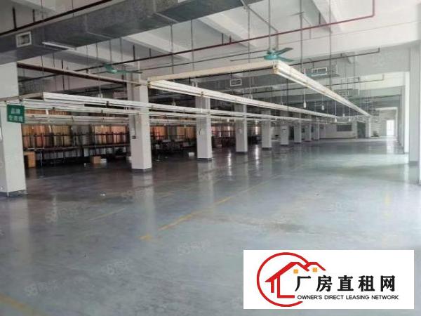  赤岭独院厂房仓库8000方可分层或者整租
