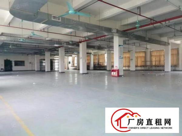  赤岭独院厂房仓库8000方可分层或者整租