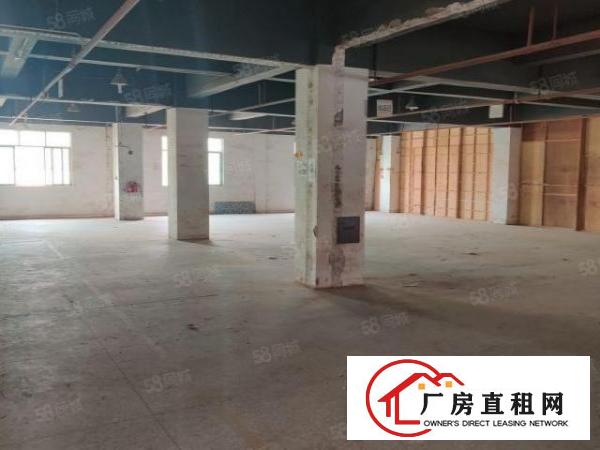 厚街村独院实际面积6070平厂房宿舍办公楼齐全！