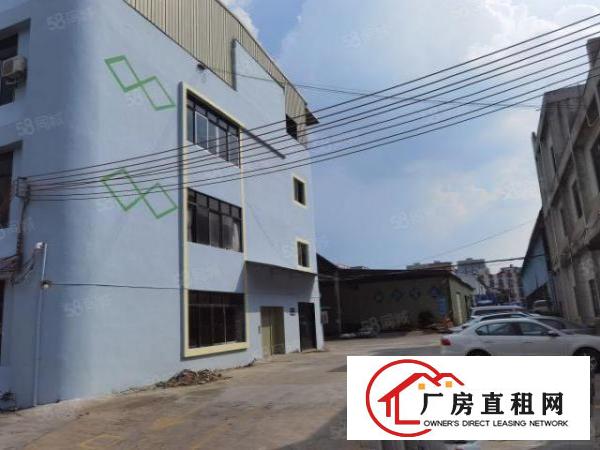  全新无尘车间厂房招租出租，可分租