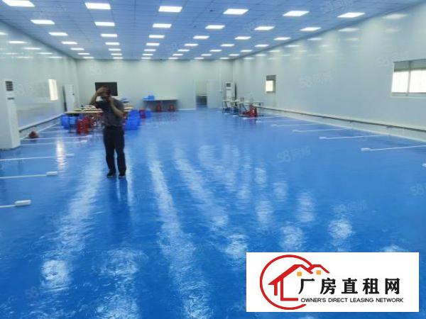  全新无尘车间厂房招租出租，可分租