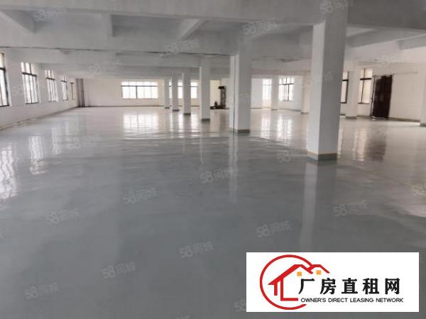 全新无尘车间厂房招租出租，可分租