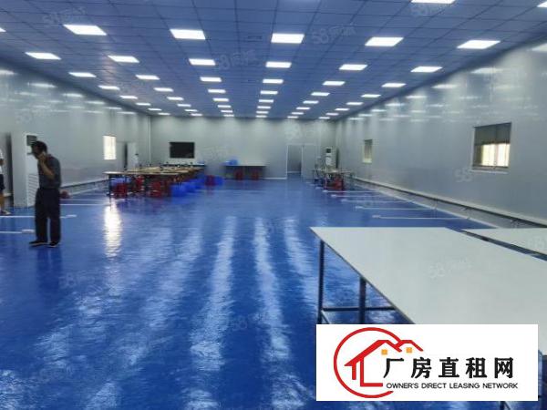  全新无尘车间厂房招租出租，可分租