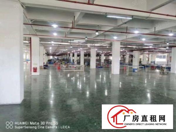 厚街桥头，独门独院，原房东厂房招租8800平方