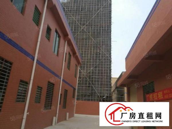 厚街原房东独门独院全新厂房出租带牛角可装行车交通方便