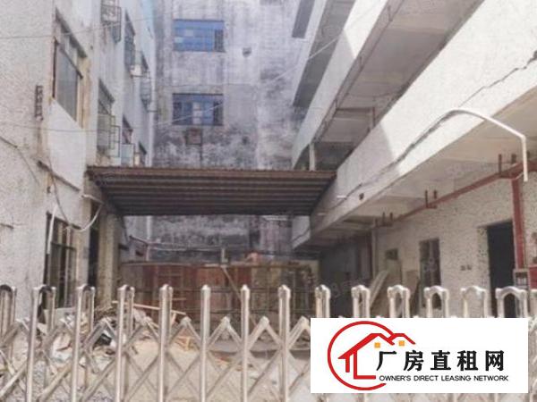  厚街新出标准厂房大小可分租价格实惠