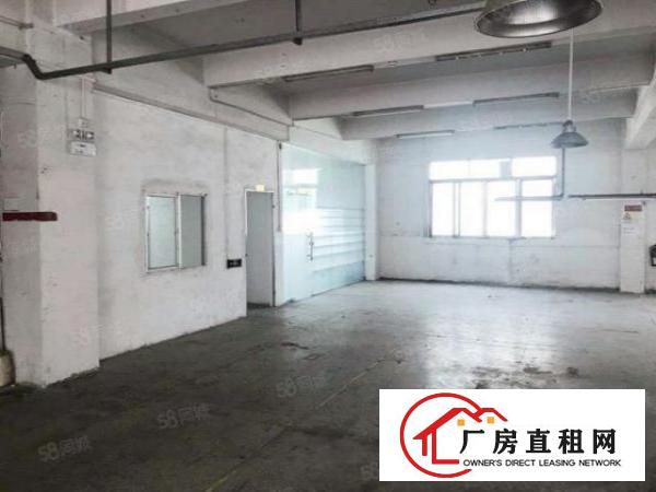  厚街新出标准厂房大小可分租价格实惠