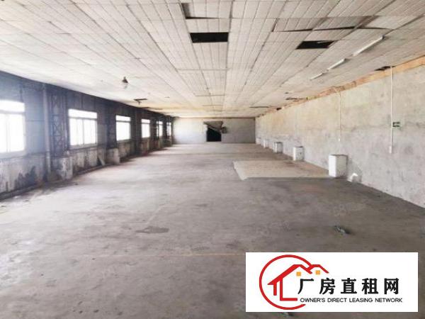  厚街新出标准厂房大小可分租价格实惠