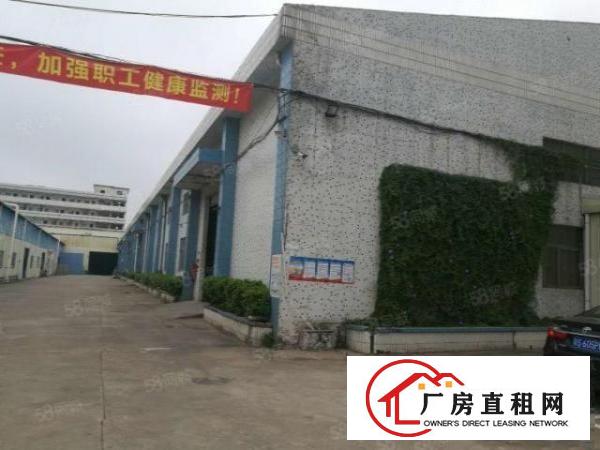  厚街新出豪装单一层厂房独院砖墙到顶高8米有家具环评