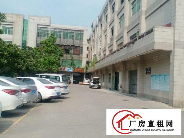  厚街村三屯新出楼上450平带现成办公室装修