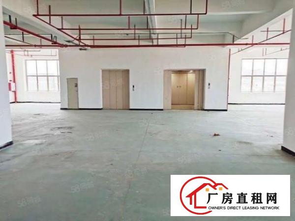  厚街镇单层面积5600平方空地超大带卸货平台消防喷淋欧式厂房