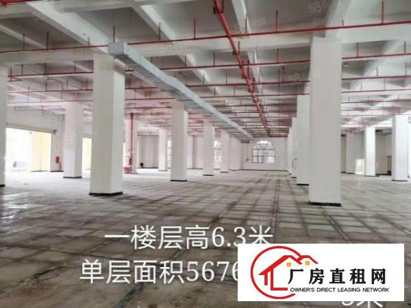  厚街镇单层面积5600平方空地超大带卸货平台消防喷淋欧式厂房