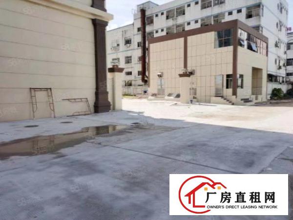  厚街镇单层面积5600平方空地超大带卸货平台消防喷淋欧式厂房
