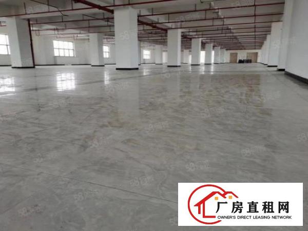  厚街镇单层面积5600平方空地超大带卸货平台消防喷淋欧式厂房