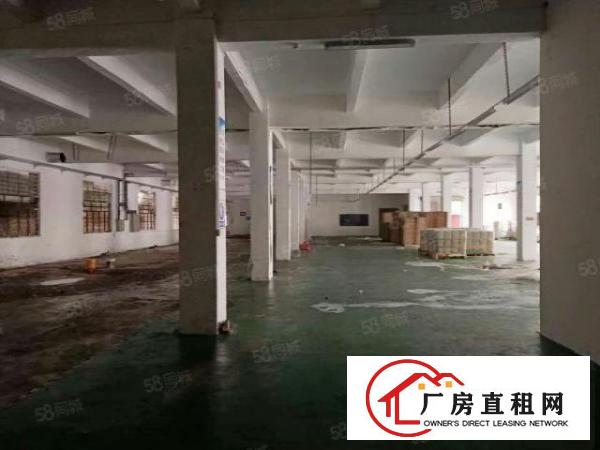  厚街靠虎门原房东实际面积电量大