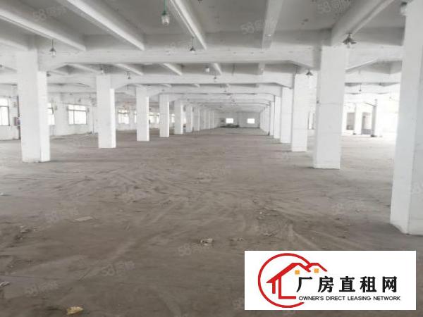  三屯企山头有5000平方厂房仓库出租有两吨电梯卸货平台好招工