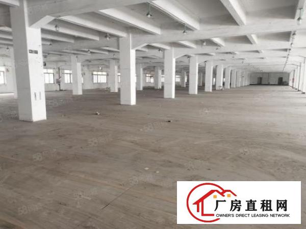  三屯企山头有5000平方厂房仓库出租有两吨电梯卸货平台好招工