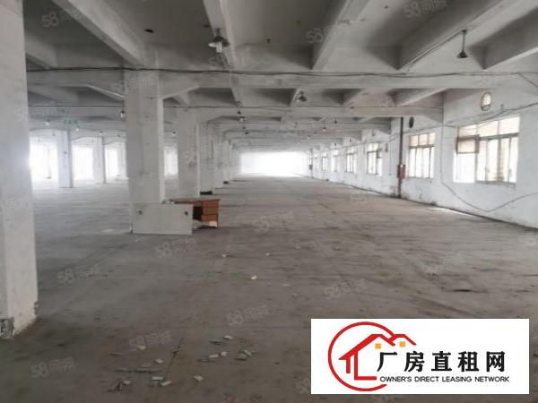  三屯企山头有5000平方厂房仓库出租有两吨电梯卸货平台好招工