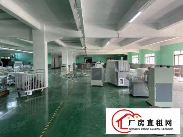  厚街原房东精装修秒杀1600平