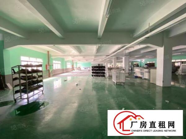  厚街原房东精装修秒杀1600平