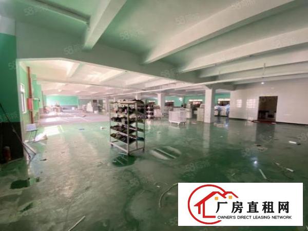  厚街原房东精装修秒杀1600平