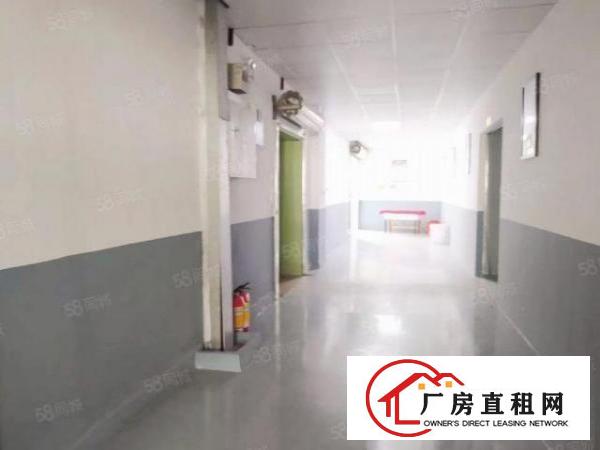  厚街新出600平租7000现在办公消防喷淋水电齐全