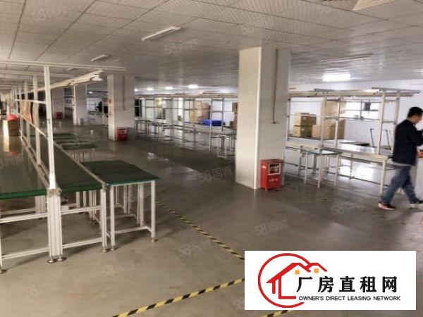  厚街新出600平租7000现在办公消防喷淋水电齐全