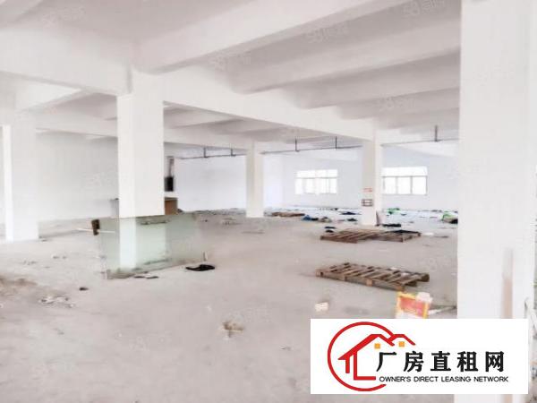  厚街新出600平租7000现在办公消防喷淋水电齐全