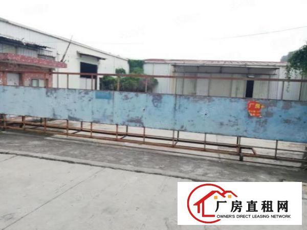  厚街原房东空出独门独院6500方出租