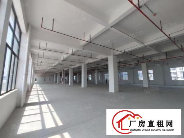  厚街白濠新出全新楼上800平出租带两吨电梯，价格优惠