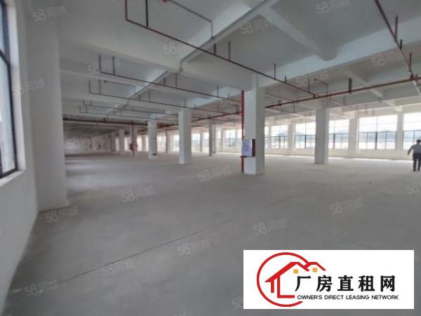  厚街白濠新出全新楼上800平出租带两吨电梯，价格优惠