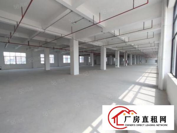  厚街白濠新出全新楼上800平出租带两吨电梯，价格优惠