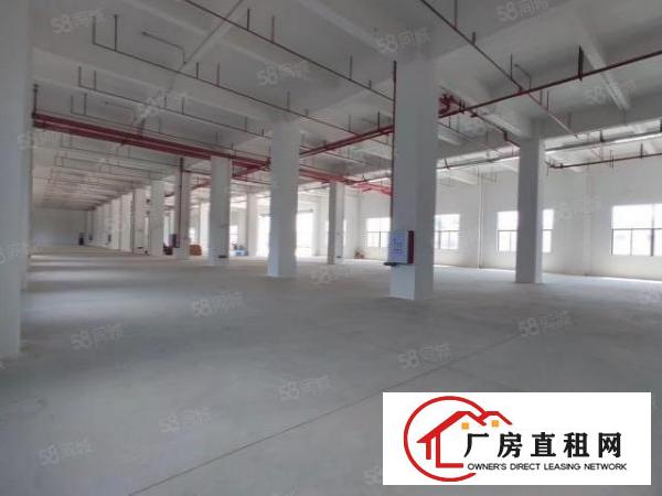  厚街白濠新出全新楼上800平出租带两吨电梯，价格优惠