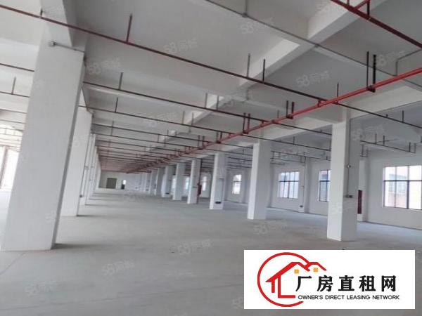  厚街白濠新出全新楼上800平出租带两吨电梯，价格优惠