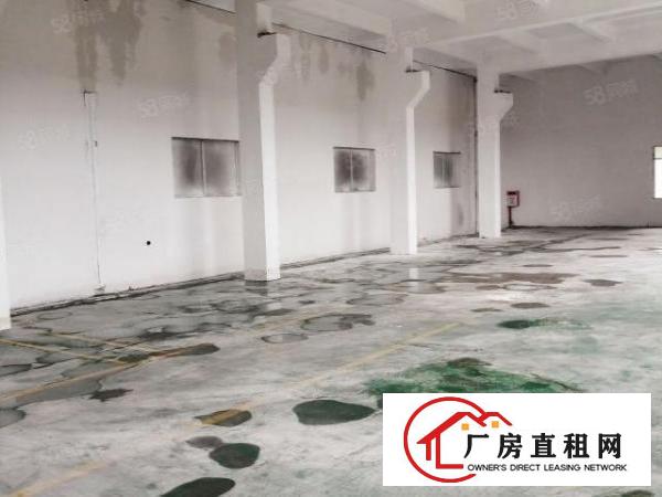  标准水泥单一层厂房全新装修带牛角