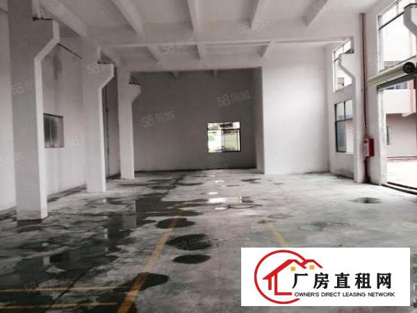  标准水泥单一层厂房全新装修带牛角