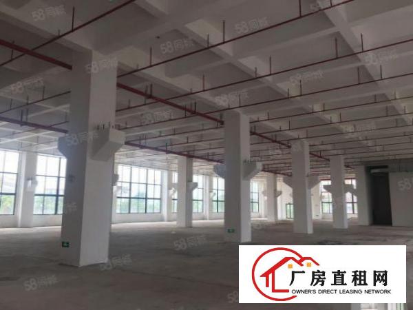  （带牛腿）一楼2800平厂房出租